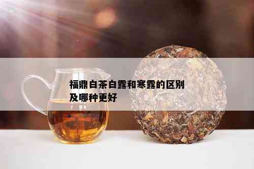 福鼎白茶白露和寒露的区别及哪种更好