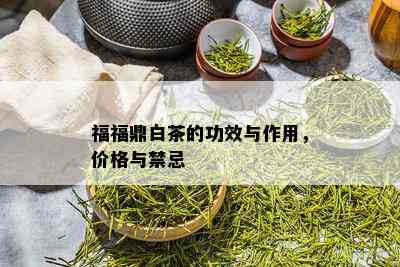 福福鼎白茶的功效与作用，价格与禁忌