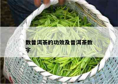 数普洱茶的功效及普洱茶数字