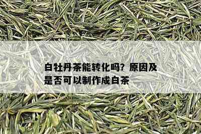 白牡丹茶能转化吗？原因及是否可以制作成白茶