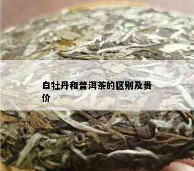 白牡丹和普洱茶的区别及贵价