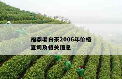 福鼎老白茶2006年价格查询及相关信息