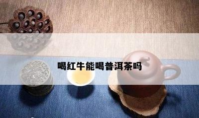 喝红牛能喝普洱茶吗