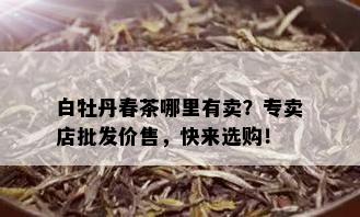 白牡丹春茶哪里有卖？专卖店批发价售，快来选购！