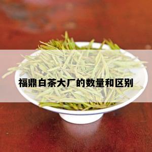 福鼎白茶大厂的数量和区别