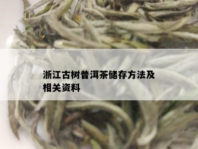 浙江古树普洱茶储存方法及相关资料