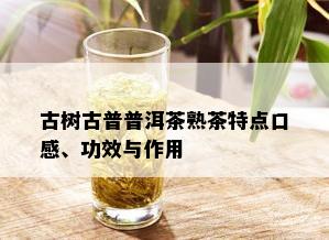 古树古普普洱茶熟茶特点口感、功效与作用