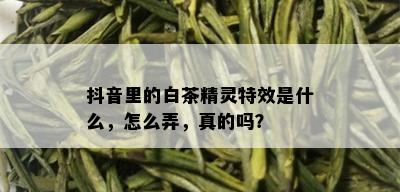 抖音里的白茶精灵特效是什么，怎么弄，真的吗？