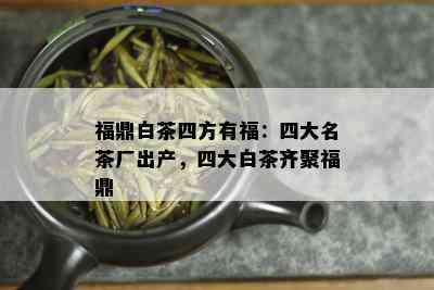 福鼎白茶四方有福：四大名茶厂出产，四大白茶齐聚福鼎