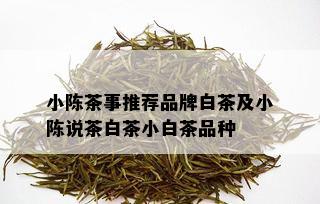 小陈茶事推荐品牌白茶及小陈说茶白茶小白茶品种