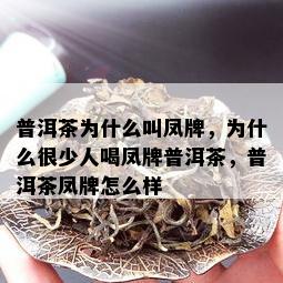 普洱茶为什么叫凤牌，为什么很少人喝凤牌普洱茶，普洱茶凤牌怎么样