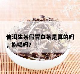 普洱生茶假冒白茶是真的吗，能喝吗？