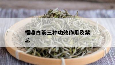 福鼎白茶三种功效作用及禁忌