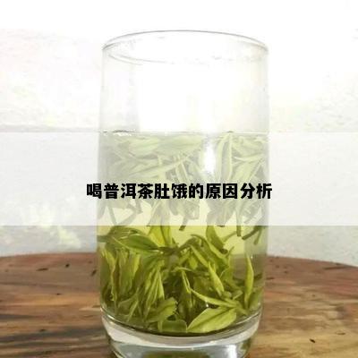 喝普洱茶肚饿的原因分析