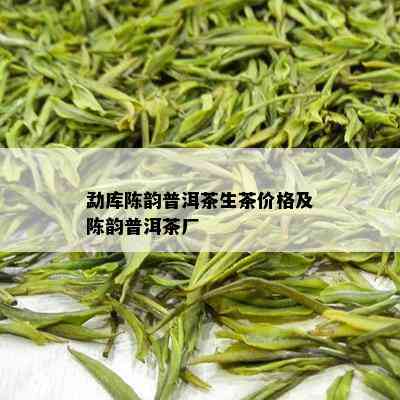 勐库陈韵普洱茶生茶价格及陈韵普洱茶厂