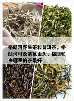 格朗河野生茶和普洱茶，格朗河村及茶区山头，格朗和乡哪里的茶更好