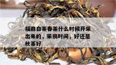 福鼎白茶春茶什么时候开采出来的，采摘时间，好还是秋茶好