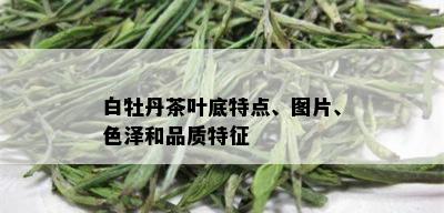 白牡丹茶叶底特点、图片、色泽和品质特征