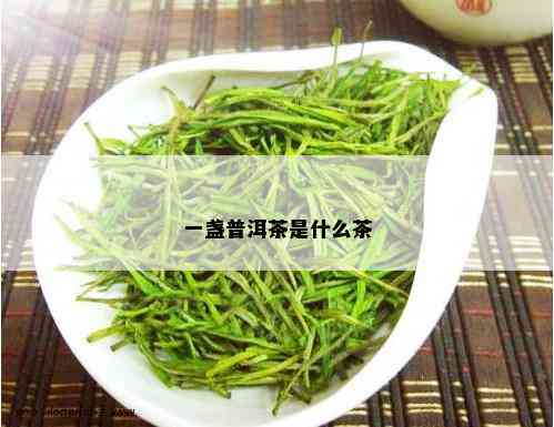 一盏普洱茶是什么茶