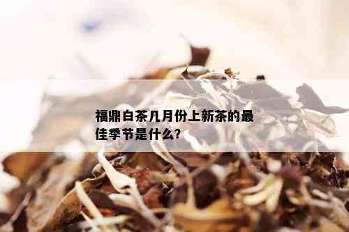 福鼎白茶几月份上新茶的更佳季节是什么？