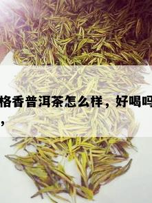 格香普洱茶怎么样，好喝吗，