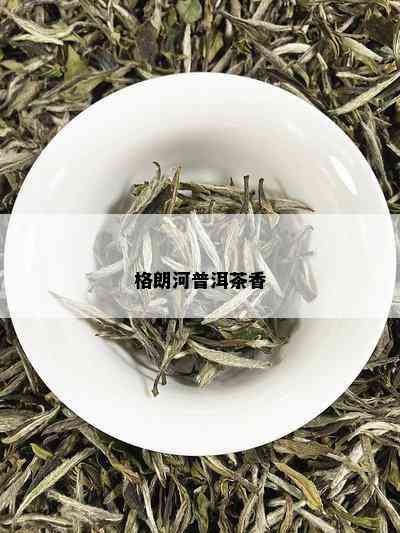 格朗河普洱茶香