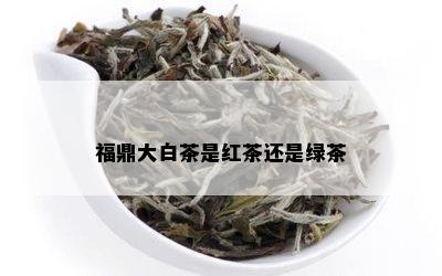 福鼎大白茶是红茶还是绿茶