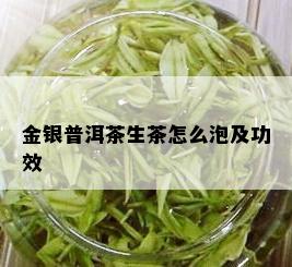 金银普洱茶生茶怎么泡及功效