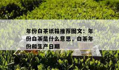 年份白茶纸箱推荐图文：年份白茶是什么意思，白茶年份和生产日期