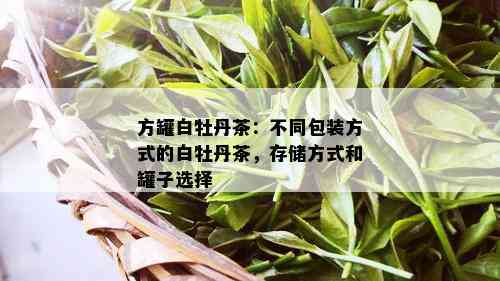 方罐白牡丹茶：不同包装方式的白牡丹茶，存储方式和罐子选择