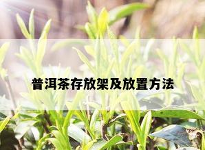 普洱茶存放架及放置方法