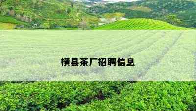 横县茶厂招聘信息