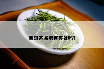 普洱茶减肥有害处吗？