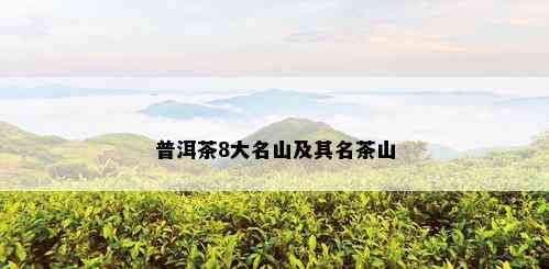 普洱茶8大名山及其名茶山