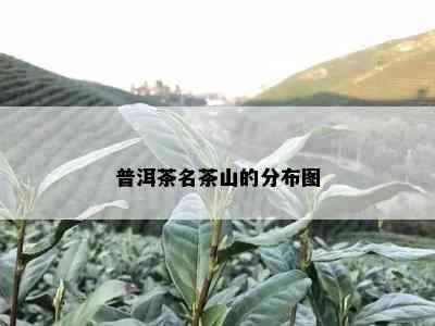 普洱茶名茶山的分布图