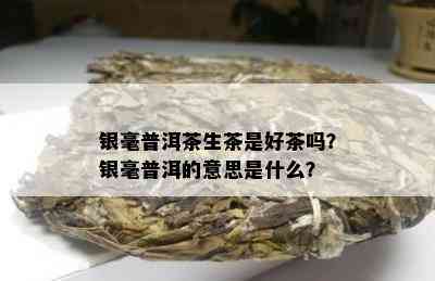 银毫普洱茶生茶是好茶吗？银毫普洱的意思是什么？