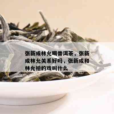 张新成林允喝普洱茶，张新成林允关系好吗，张新成和林允拍的戏叫什么