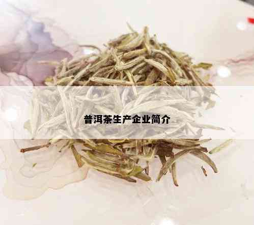 普洱茶生产企业简介