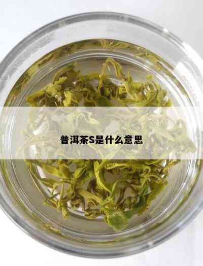 普洱茶S是什么意思