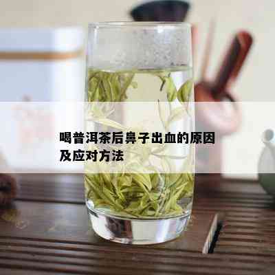 喝普洱茶后鼻子出血的原因及应对方法