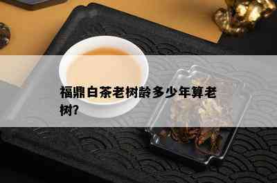 福鼎白茶老树龄多少年算老树？