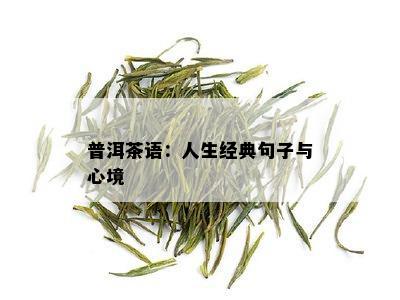 普洱茶语：人生经典句子与心境