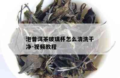 泡普洱茶玻璃杯怎么清洗干净-视频教程