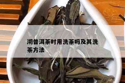 沏普洱茶时用洗茶吗及其洗茶方法