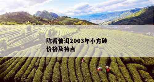 陈香普洱2003年小方砖价格及特点