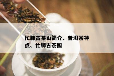 忙肺古茶山简介、普洱茶特点、忙肺古茶园