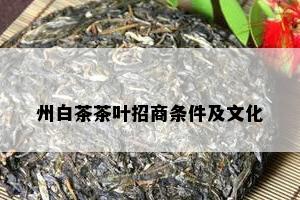 州白茶茶叶招商条件及文化