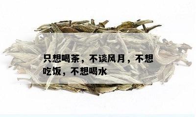 只想喝茶，不谈风月，不想吃饭，不想喝水