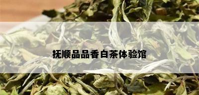 抚顺品品香白茶体验馆