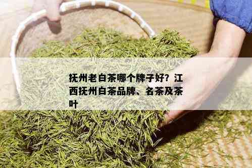 抚州老白茶哪个牌子好？江西抚州白茶品牌、名茶及茶叶